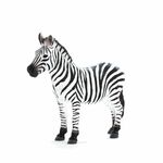 Zebra XL