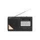 LTC Wilga 2016 prijenosni radio FM/MW/SW, USB, SD, 10 W, ugrađena baterija 1000 mAh – crni