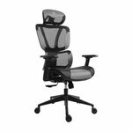 BIT FORCE uredska stolica ROYAL LM-2D crno/siva