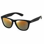 Men's Sunglasses Polaroid P8443