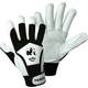 L+D Griffy Panda 1730-10 nappa koža rukavice za montažu Veličina (Rukavice): 10, xl EN 388:2016 cat ii 1 Par