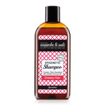 Nuggela&amp;sule Epigenetic šampon za masnu kosu 250 ml