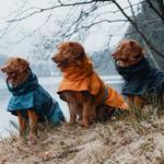Hurtta Monsoon Coat - kabanica za pse, buckthorn, 65