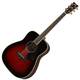Yamaha FG830 TBS