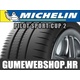 Michelin ljetna guma Pilot Sport Cup 2, XL 215/45R17 91Y/97Y