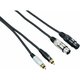 Bespeco EAY2F2R300 3 m Audio kabel