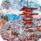 Slika 50x50 cm Chureito Pagoda – Fedkolor