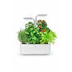 Kućni vrt Veritable - siva. Kućni vrt iz kolekcije Veritable. Model izrađen od sintetičkog materijala.