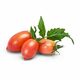 LINGOT Ružičasta mini rajčica