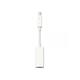 Apple Thunderbolt to FireWire Adapter md464zm/a