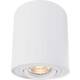 Deko Light 348023 Bengala stropna svjetiljka GU10 bijela