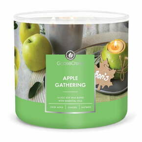 Mirisna svijeća Goose Creek Apple Gathering