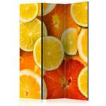 Paravan u 3 dijela - Citrus fruits [Room Dividers] 135x172