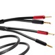 Atlas Cables - Hyper Achromatic Speaker 3.5 - 3m - Spade