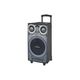 Manta audio sustav za karaoke SPK5003 GHUL