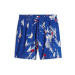 Tommy Jeans Hlače 'Print Blend Regular' plava / svijetložuta / trešnja crvena / bijela 31860545
