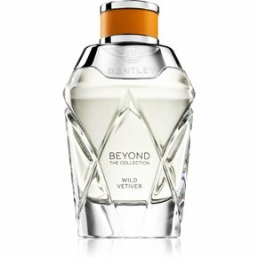 Bentley Beyond Collection Wild Vetiver parfemska voda 100 ml unisex