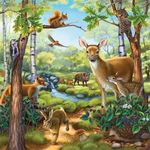 Ravensburger Puzzle Zoološki vrtovi i kućni ljubimci šumskih životinja 3 x 49 dijelova