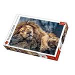 Lav koji spava puzzle - 1000 kom - Trefl