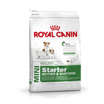 ROYAL CANIN Mini Starter Mother &amp; Babydog 1kg