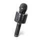 Forever audio sustav za karaoke BMS-300