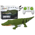 Remotely Controlled Water Crocodile Swimming Into Water By Remote Control
