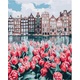 slikanje po brojevima 50x40 Flowers of Amsterdam, sa drvenim okvirom i setom za slikanje