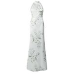 Coast Večernja haljina 'Dahlia' kameno siva / svijetlosiva / kaki / svijetla bež