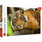 Tigar portret puzzle od 500 komada - Trefl