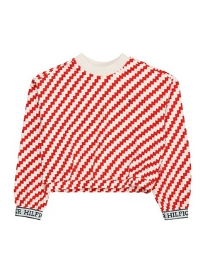 TOMMY HILFIGER Sweater majica bež / crvena / crna