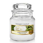 Yankee Candle Camellia Blossom mirisna svijeća Classic mala 104 g