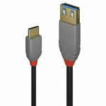 USB C to DisplayPort Adapter LINDY 36895 150 cm Black