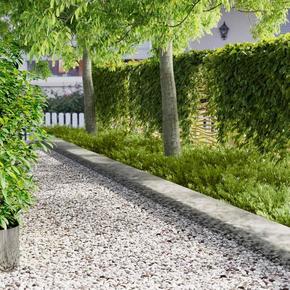 Ograda oko Travnjaka 20 pcs 103 x 30 cm metal Srebrna