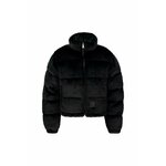 ALPHA INDUSTRIES Zimska jakna crna