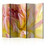 Paravan u 5 dijelova - Pastel colored dahlia flower with dew drops II [Room Dividers] 225x172