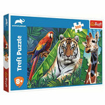 Animal Planet: Amazing Animals 300kom puzzle - Trefl