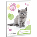 Ars Una: Slatke životinje - Britanska kratkodlaka mačka 3. razred bilježnica s linijama 32 stranice
