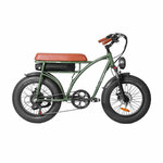 Bezior XF001 retro električni bicikl - Crna - 1000W - 12.5Ah