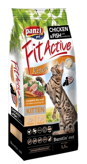 Fit Active Kitten 1