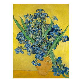 Reprodukcija slike Vincenta Van Goghaa - Irises