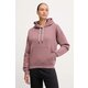 Hoodica Under Armour Project Rock Icon Hoodie Maroon L
