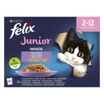 Purina Felix Fantastic Junior mješoviti izbor u aspiku - mokra hrana za mačiće 12 x 85 g
