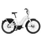 Električni bicikl Giant Delivery E+ 2022 bijeli 26"