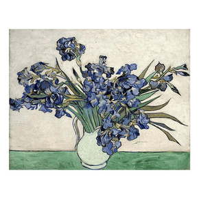 Reprodukcija slike Vincenta Van Goghaa - Irises 2