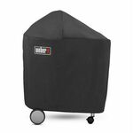 Weber Performer GBS