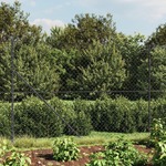 vidaXL Žičana ograda s prirubnicom antracit 1,8 x 10 m