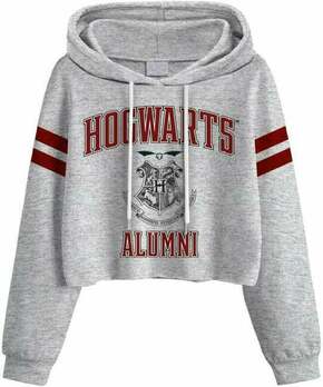 Harry Potter Majica Hogwarts Alumni Ladies Grey 2XL