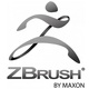 Maxon ZBrush za Mac, Linux i Windows, pretplata na 12 mjeseci, jedan korisnik