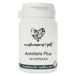 Armillaria Plus (450 mg) 60 kom