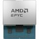 AMD EPYC 8124P Socket SP3 procesor